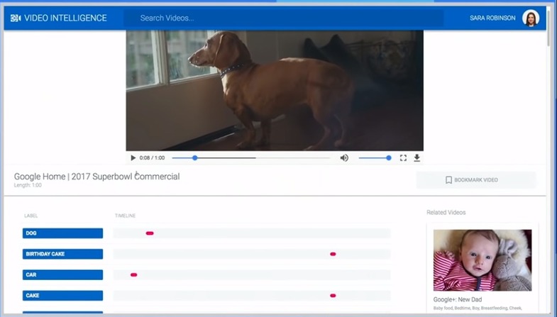 artificial intelligence applications with google video intelligence