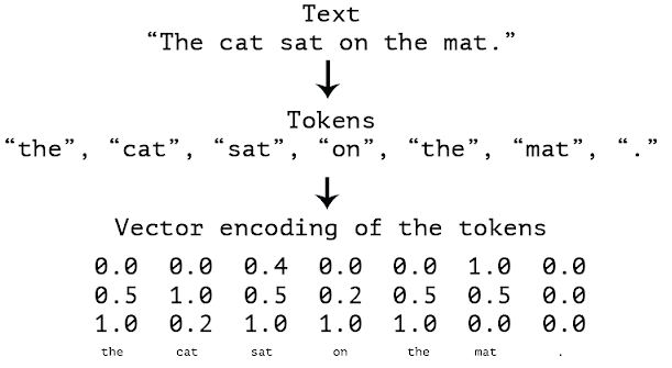 image caption tokenization in an RNN model